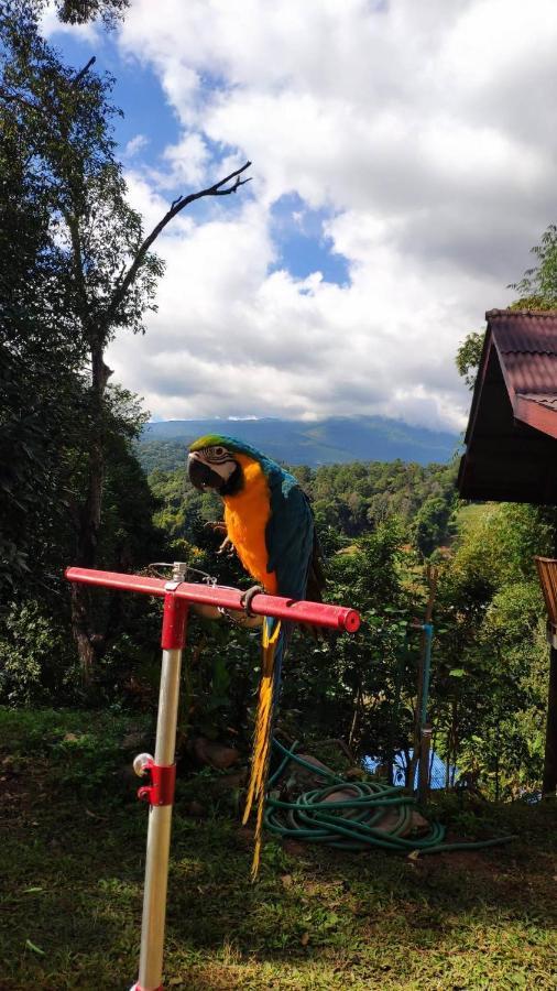 Peamoo Homestay Chom Thong Buitenkant foto