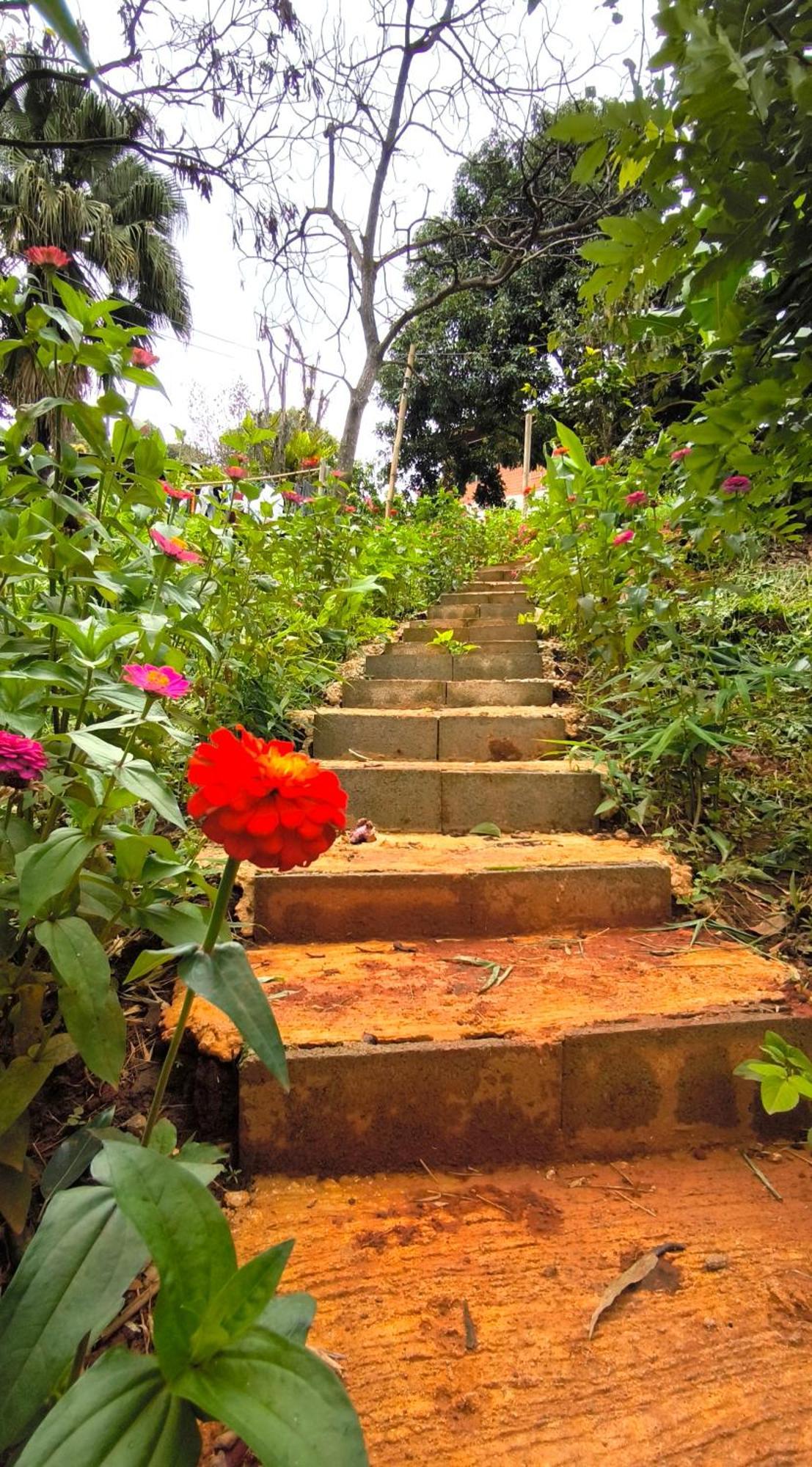 Peamoo Homestay Chom Thong Buitenkant foto